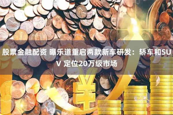 股票金融配资 曝乐道重启两款新车研发：轿车和SUV 定位20万级市场